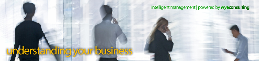 intelligent management | powered by wyeconsulting. understanding your business